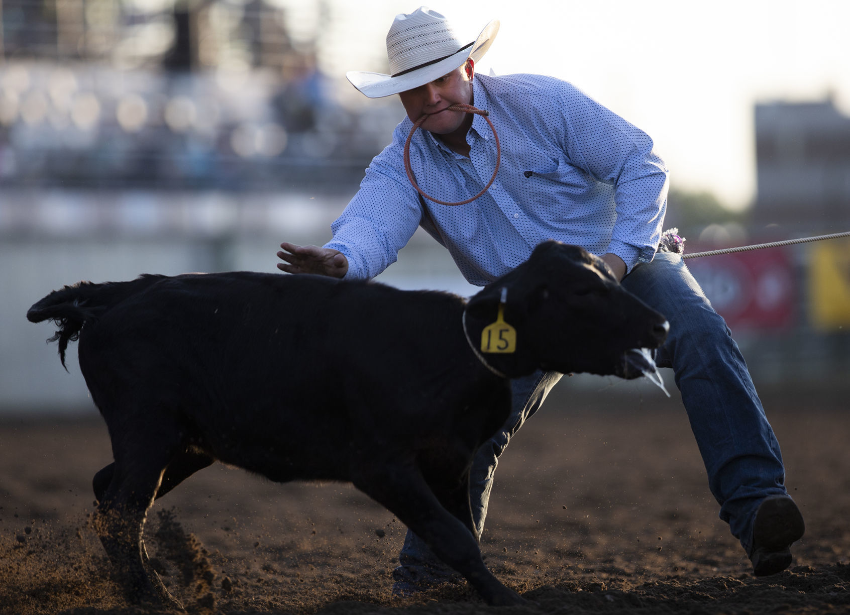 Rodeo